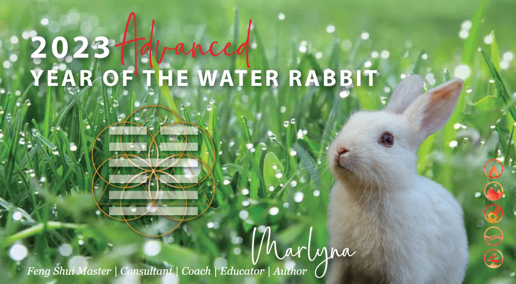 Advanced 2023 Year of the Water Rabbit Annual Feng Shui & BaZi