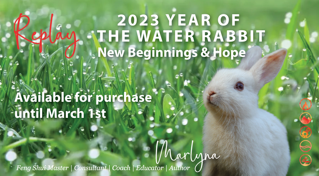 Year of the Water Rabbit 2023 Annual Beginner Class