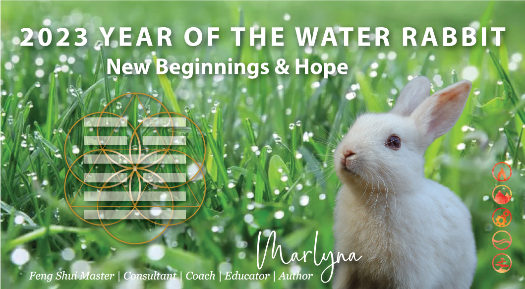Year of the Water Rabbit 2023 Annual Beginner Class