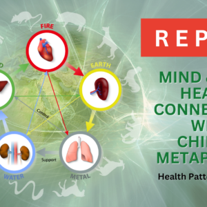 REPLAY - Chinese Astrology for Health and Well-Being 2024