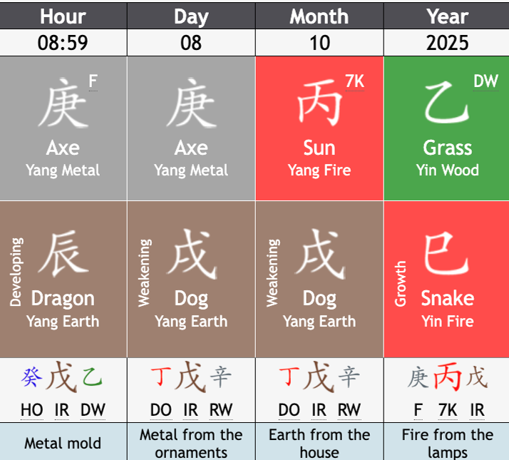 BaZi Chart of Fire Dog
